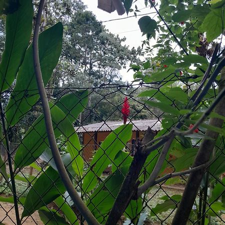 Sitio Das Bromelias Cachoeira Do Tombador Ubatuba Eksteriør bilde