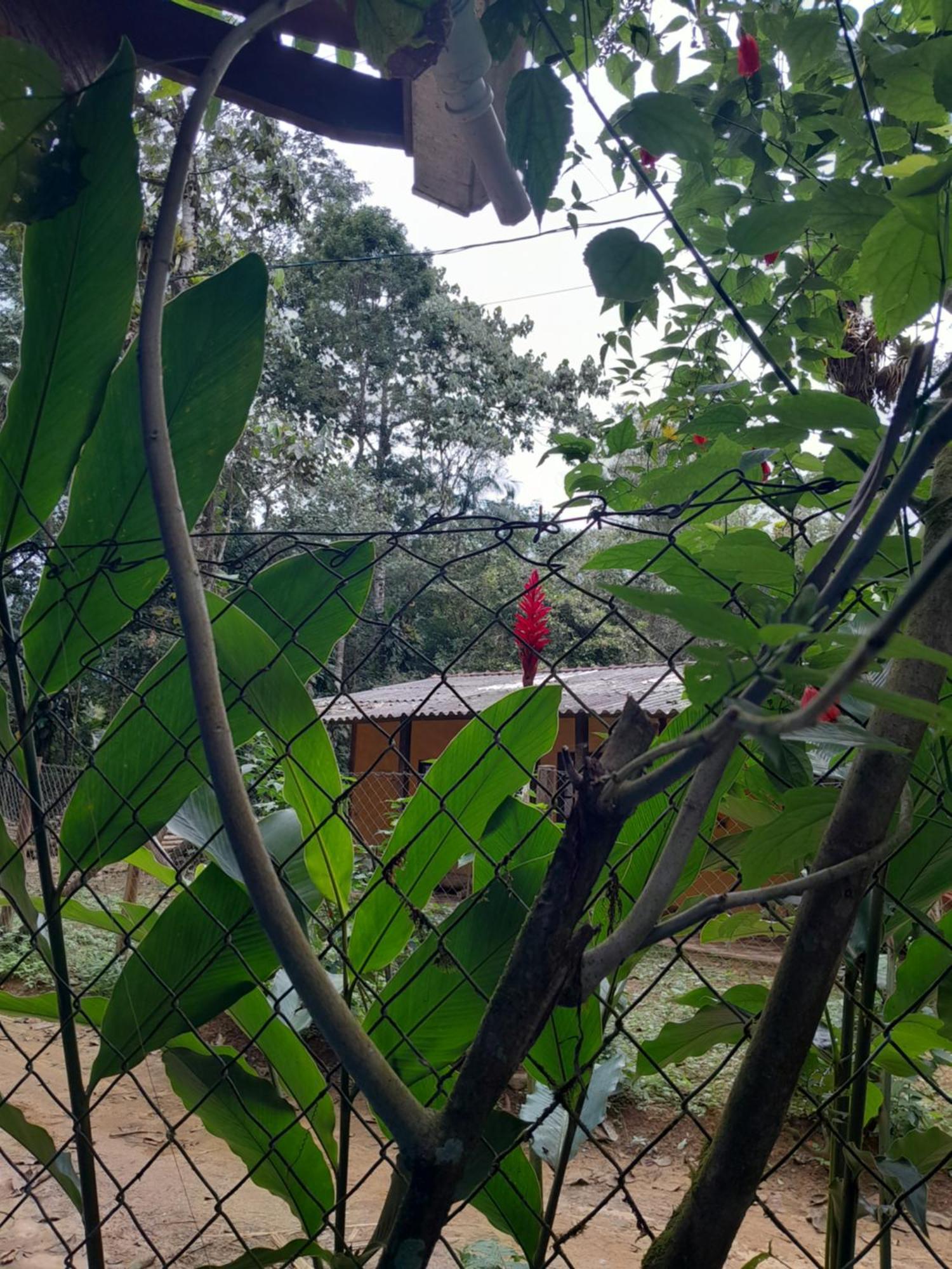 Sitio Das Bromelias Cachoeira Do Tombador Ubatuba Eksteriør bilde